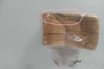 Barata encontrada em pão.