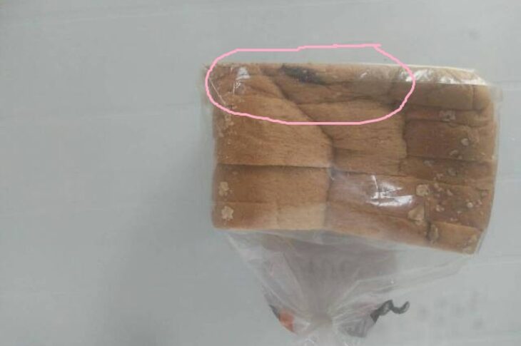 Barata encontrada em pão.