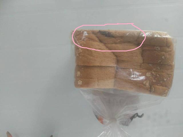 Barata encontrada em pão.