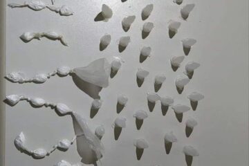 Material apreendido pelo Ceto. Foto: PM.