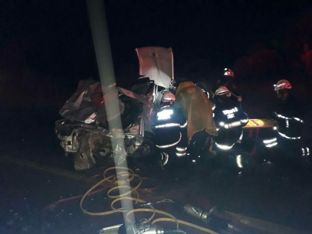 Animal provoca colisão frontal entre dois carros deixa quatro feridos. Foto: reprodução SMTRAN.