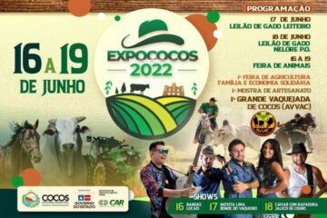 Cartaz de divulgação