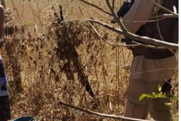 Polícia Militar recupera produtos furtados. Foto: Polícia Militar