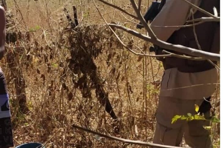 Polícia Militar recupera produtos furtados. Foto: Polícia Militar