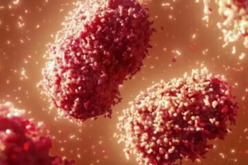 Varíola dos macacos. Foto: reprodução Science Photo Library