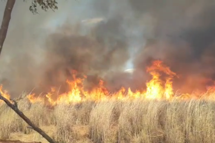 Incêndio consome vegetação em Manga. Foto: reprodução