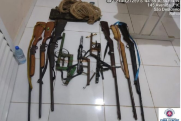 Armas apreendidas. Foto: reprodução SSP