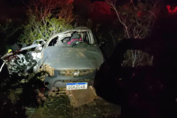 Carro capota na BR-349. Foto: PRF