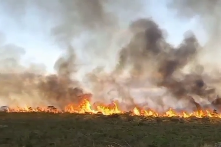 Fogo na Serra Geral. Foto: rede social