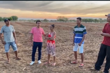 Dona Tereza. Foto: divulgação