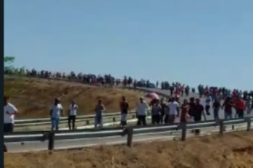 Fiéis sendo atacados por abelhas. Foto: reprodução rede social