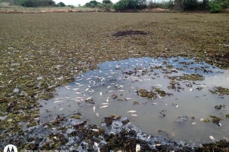Lagoa em Julião. Foto Fábio Meio Ambiente