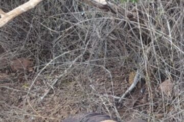 Corpo é encontrado. Foto: Polícia Militar