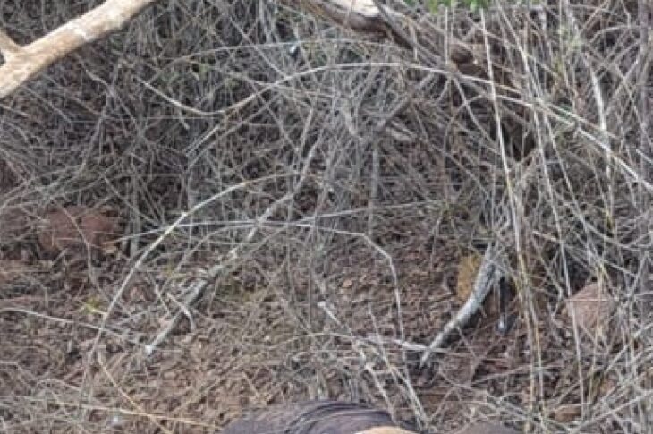 Corpo é encontrado. Foto: Polícia Militar