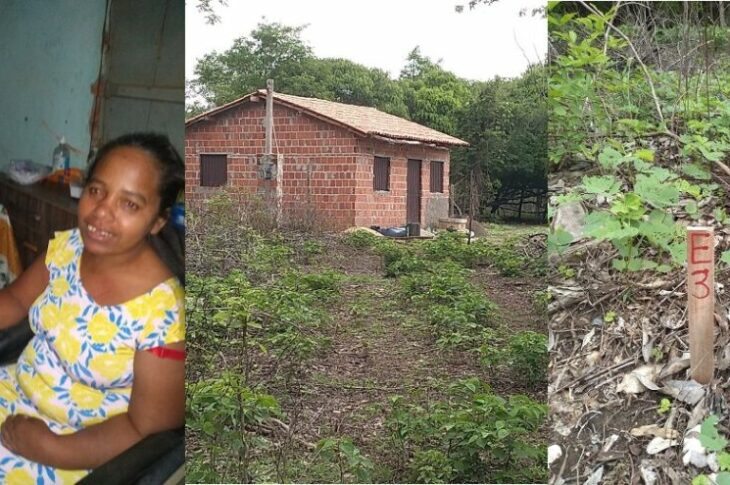 Esposa do cliente, casa, e piquete