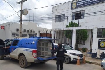 Operação da Polícia Civil. Foto: Reprodução Polícia Civil