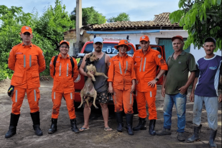 O cachorro foi resgatado. Foto: Reprodução 7º GBM