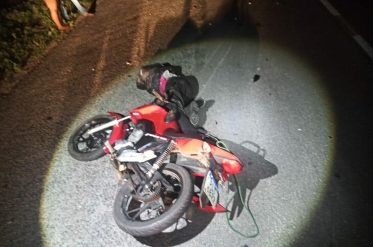 Homem morre após colidir contra animal. Foto: Divulgação