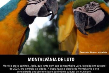 Lara e Jade. Foto: Divulgação