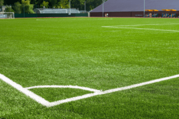 Foto: Imagem de YuliiaKa no Freepik