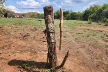 Imagem ilustrativa. Foto: Reprodução Revista Oeste