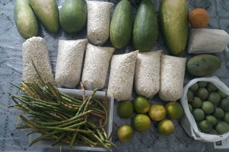 Produtos colhidos em Candiba. Foto: Reprodução SDR/CAR 