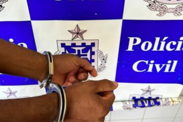 Arminho foi encaminhado para Guanambi. Foto: Polícia Civil