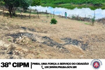 PM remove construções irregulares em área de APP. Foto: Polícia Militar