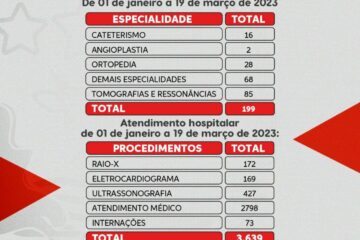 Relatório de atendimento. Reprodução Secretaria de Saúde