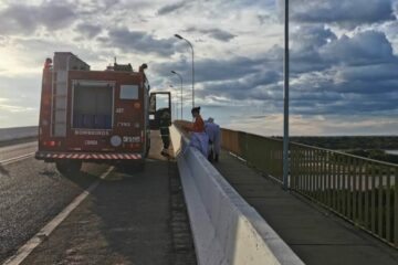Equipe removendo abelhas em Malhada. Foto: reprodução Alex