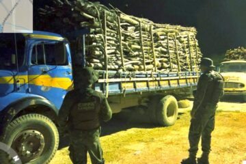 Caminhões apreendidos em Guanambi. Foto: Reprodução CIPPA Lençóis