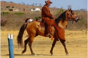 Os versos do Vaqueiro