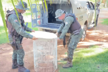 Aves apreendidas em Brumado. Foto: CIPPA Lençóis