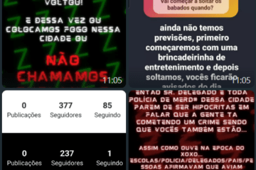 Perfil criado. Foto: Polícia Civil