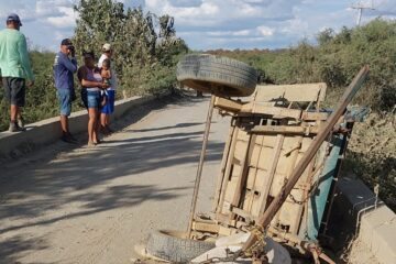 Acidente envolvedo caminhão e carroça. Foto: Polícia Militar