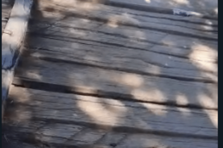 Ponte Pocinhos