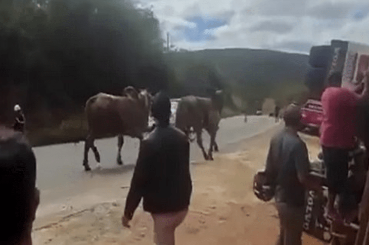 Caminhão tomba. Foto: Achei Sudoeste