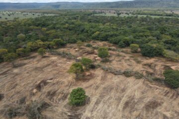 Área desmatada na Bacia do São Francisco. Foto: Reprodução Ibama