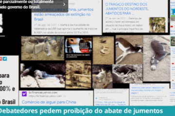 Fim do abate de jumentos. Foto: Reprodução