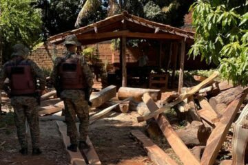 Madeira apreendida. CIPPA/Lençóis