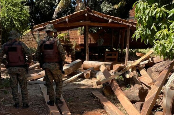 Madeira apreendida. CIPPA/Lençóis