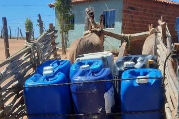 Comunidade de Pau de Colher. Foto: Mundinho da Oficina