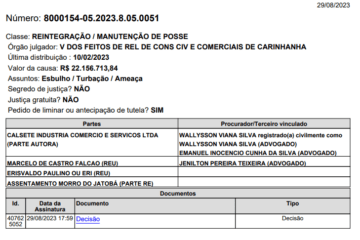 Decisão da Comarca de Carinhanha. Foto: reprodução