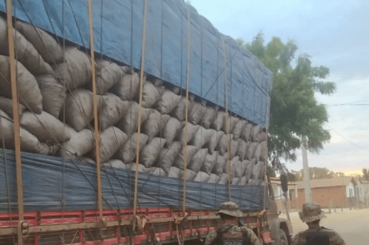 Carga de carvão apreendida. Foto: Divulgação/SSP-BA