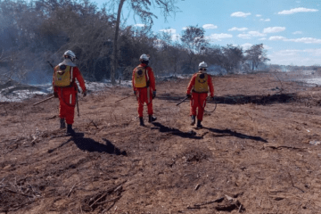 Equipe de bombeiros militares. Foto. 20º BBM