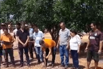 Assinatura de ordem de serviço