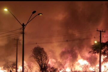 Lagoa de João Amaral