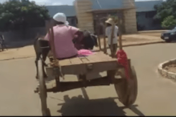 Reprodução do Facebook