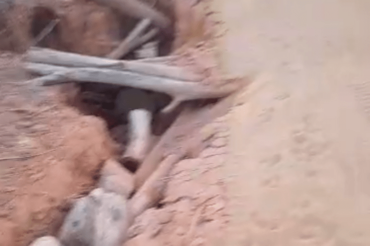 Estrada da Pingueira