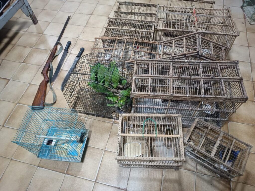 Material apreendido pela PM. Foto: Polícia Militar